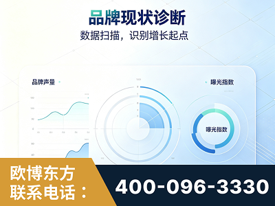 三沙-品牌现状诊断